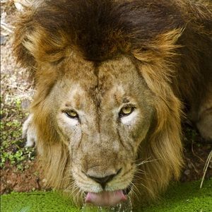 Meet your Posher, James